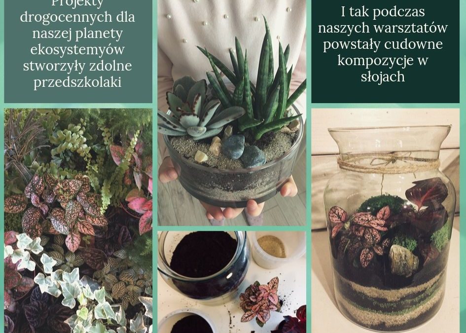 Fotorelacja z warsztatów „Las w słoiku”